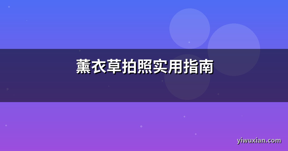 薰衣草拍照实用指南