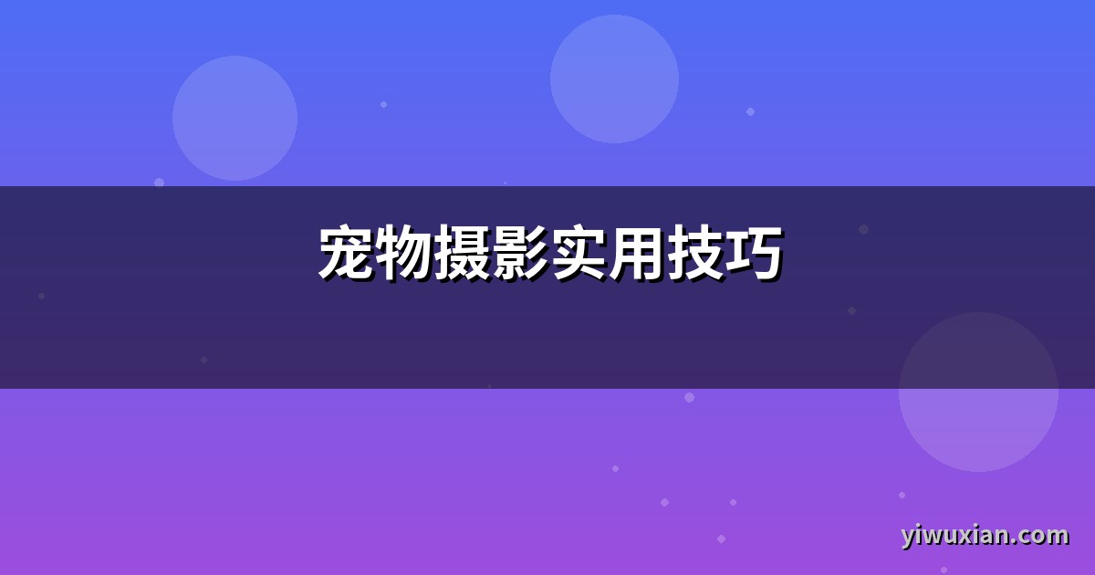 宠物摄影实用技巧