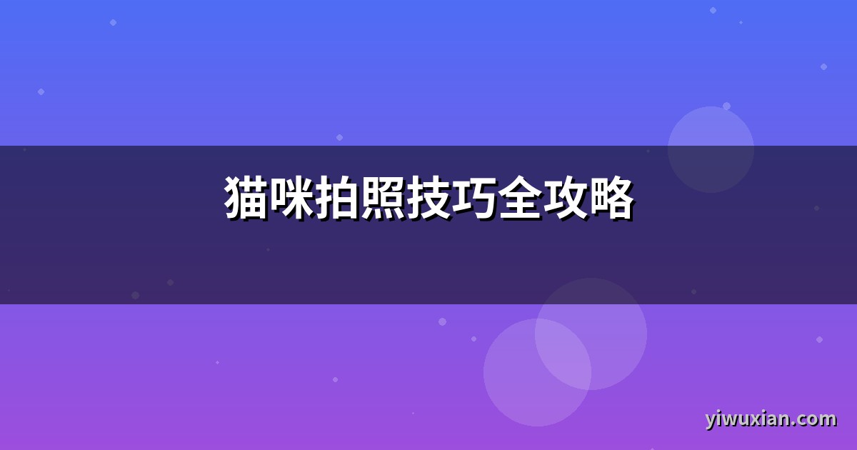 猫咪拍照技巧全攻略