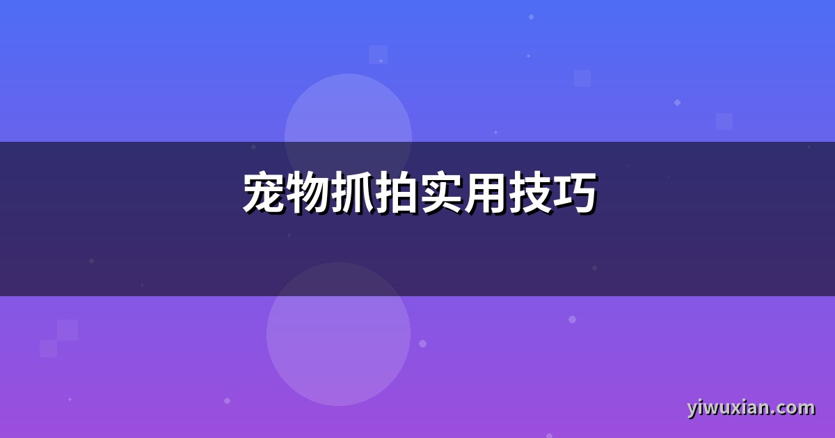 宠物抓拍实用技巧