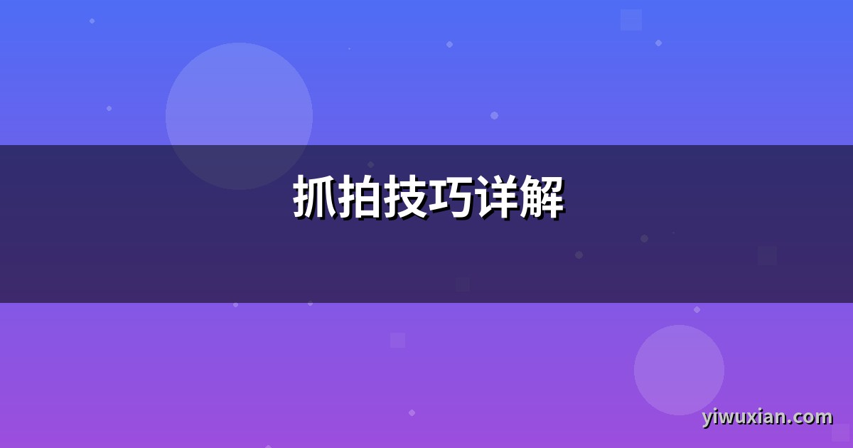 抓拍技巧详解