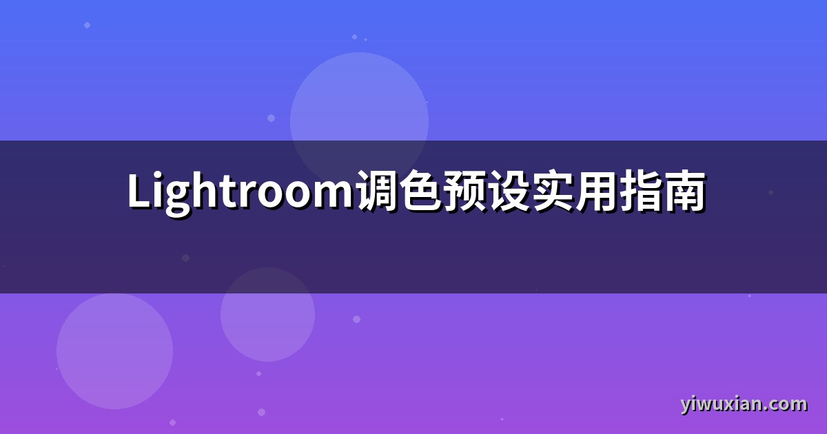 Lightroom调色预设实用指南