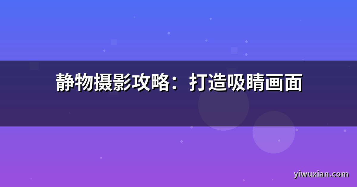 静物摄影攻略：打造吸睛画面