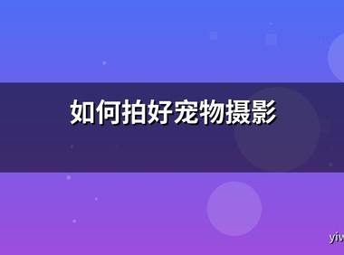 如何拍好宠物摄影